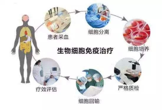 最新治疗方案引领重塑医疗未来之路