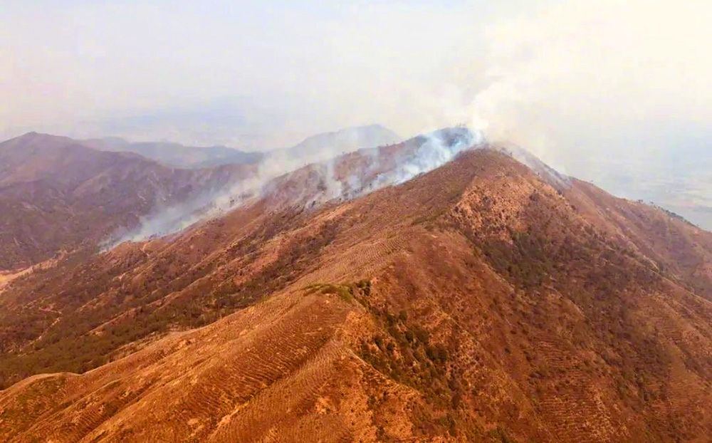 泸山火灾全力扑救，守护生命家园，关注最新动态