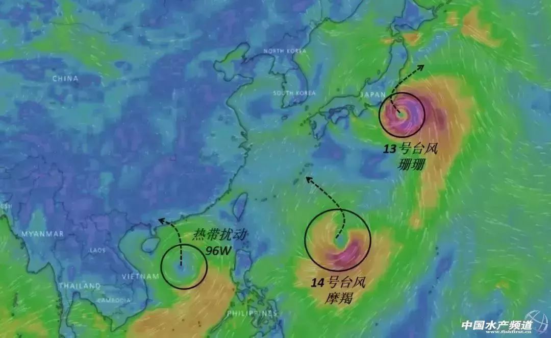 最新台风风力，自然挑战与人类应对