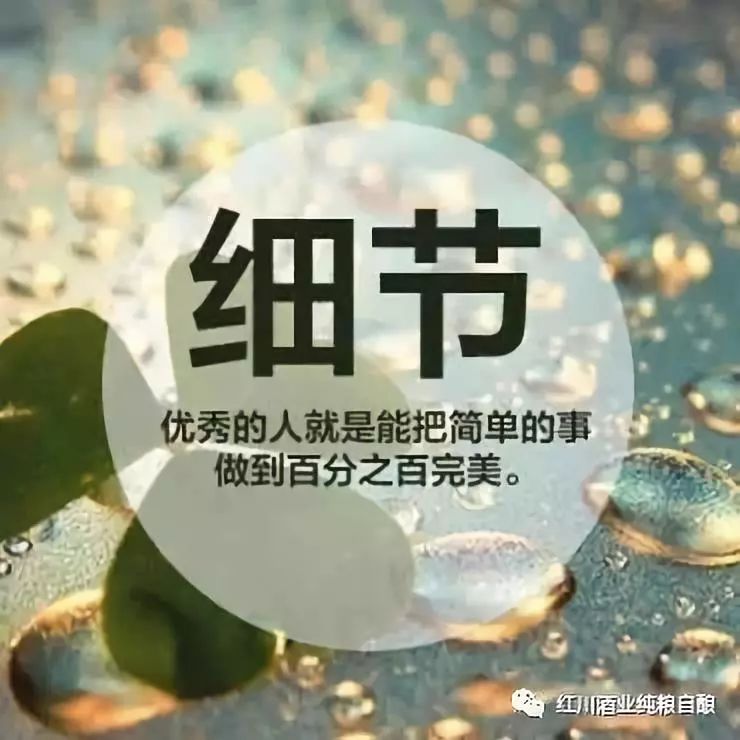 最新带字头像，个性表达的新潮流风尚标签