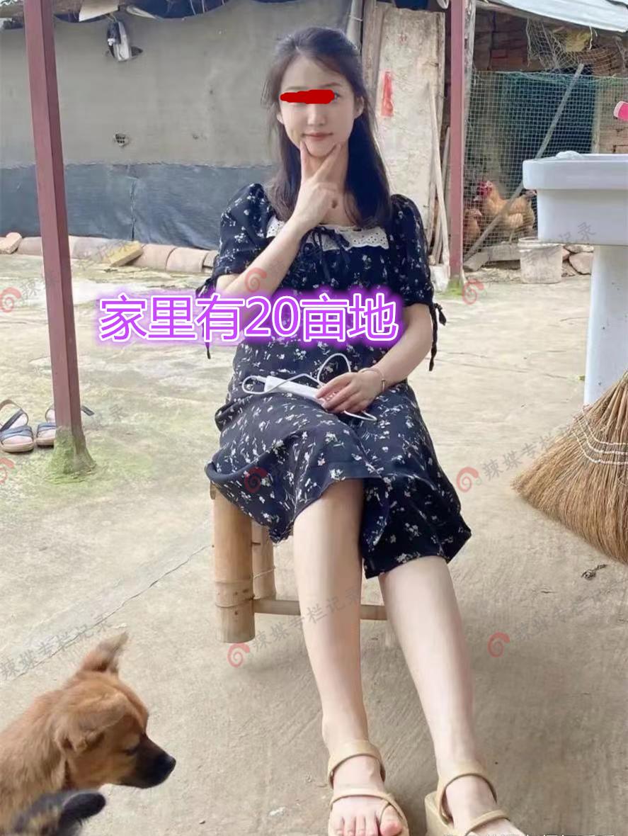 莱西女士征婚启事，寻找生命中的另一半