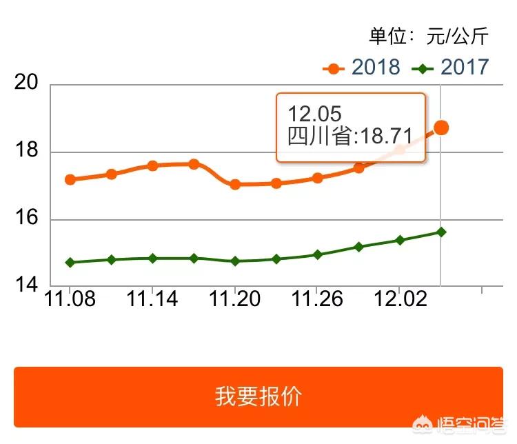 米易最新猪价走势分析