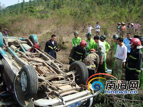 陵水车祸事件深度剖析