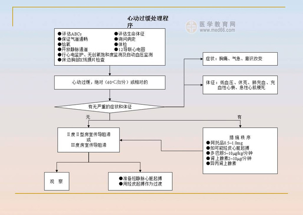 皮试最新流程详解