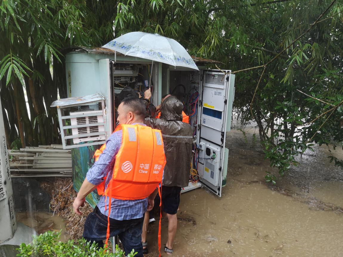 湖北暴雨背后的故事，最新暴雨视频揭示真相