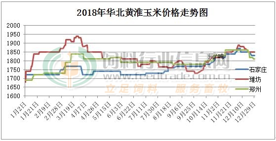 黄淮玉米最新价格动态解析