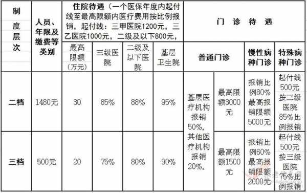 最新医费处理策略，优化流程，提升服务质量