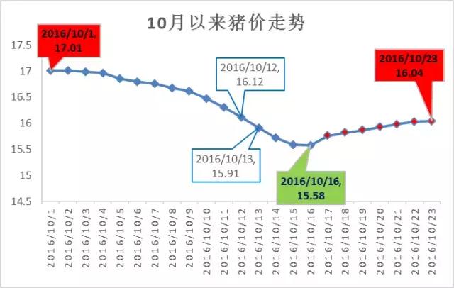 最新猪价走势解析与预测