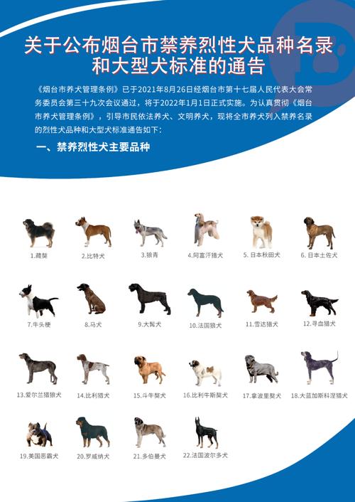 禁犬令最新动态，政策调整引发的社会反响