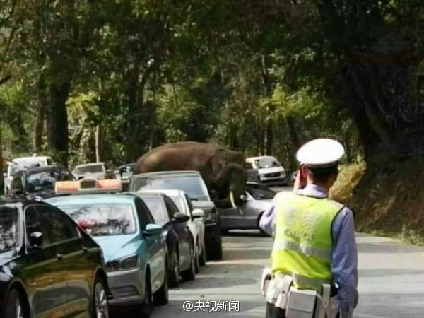 云南最新事件探索与发现之旅