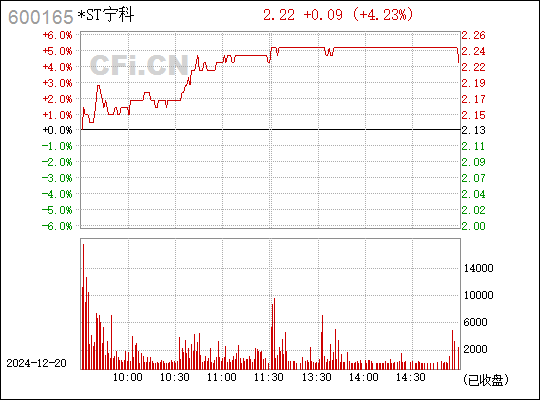 新日恒力最新动态全面解析