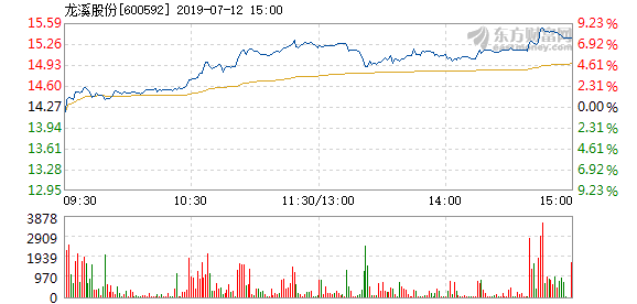 龙溪股份最新消息综述，全面解读公司动态与行业趋势