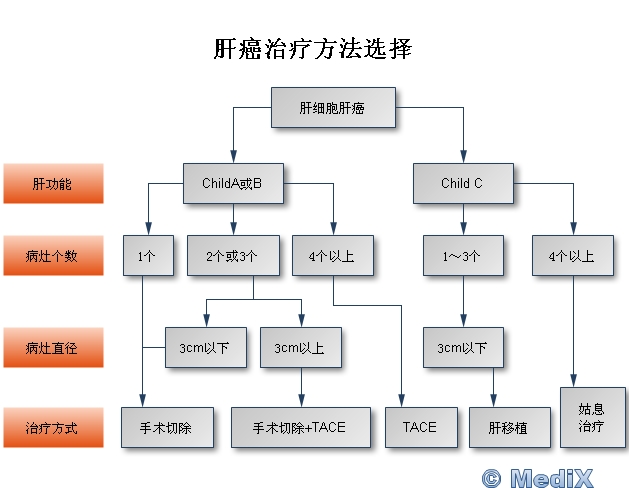 最新肝癌治疗方法，突破与创新的前沿领域研究揭秘