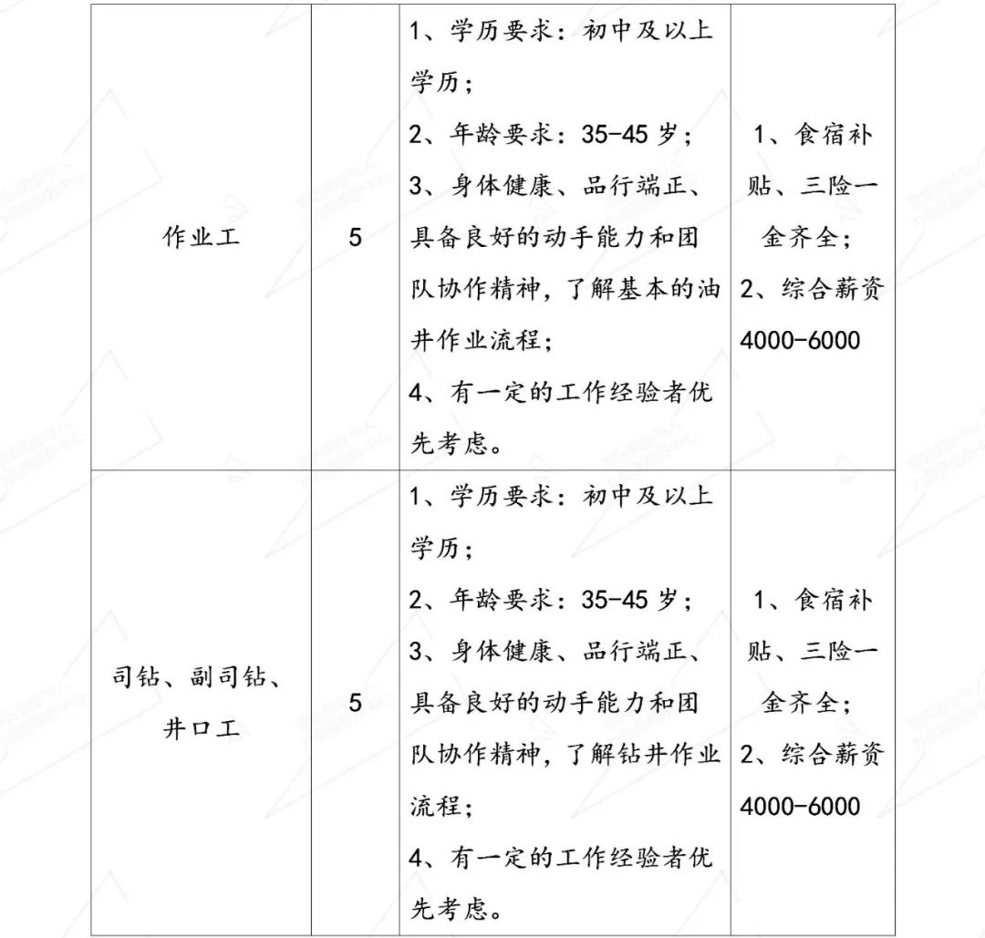 开原招聘网最新招聘动态深度解析及求职指南