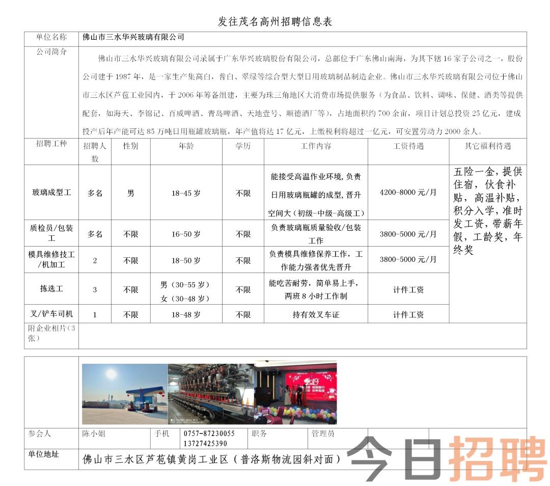 金山石化人才新星探寻，最新招聘动态揭秘